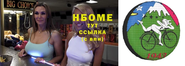 индика Железноводск