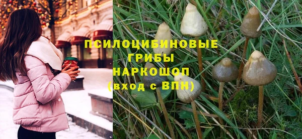 индика Железноводск