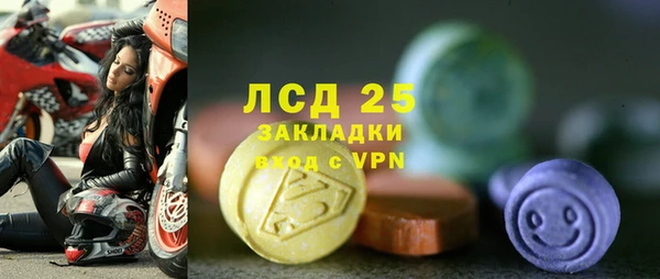 ПСИЛОЦИБИНОВЫЕ ГРИБЫ Медвежьегорск