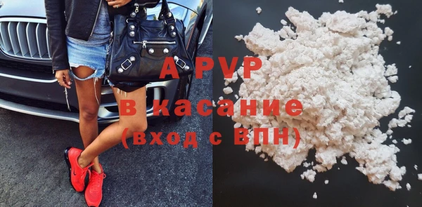 ПСИЛОЦИБИНОВЫЕ ГРИБЫ Медвежьегорск
