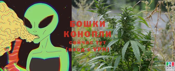 ПСИЛОЦИБИНОВЫЕ ГРИБЫ Медвежьегорск