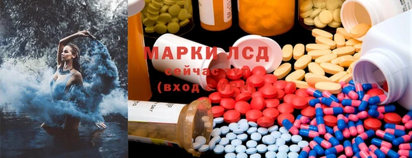 ПСИЛОЦИБИНОВЫЕ ГРИБЫ Медвежьегорск