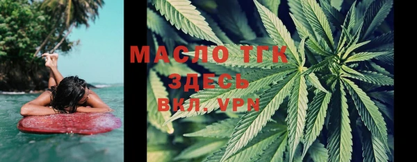 индика Железноводск