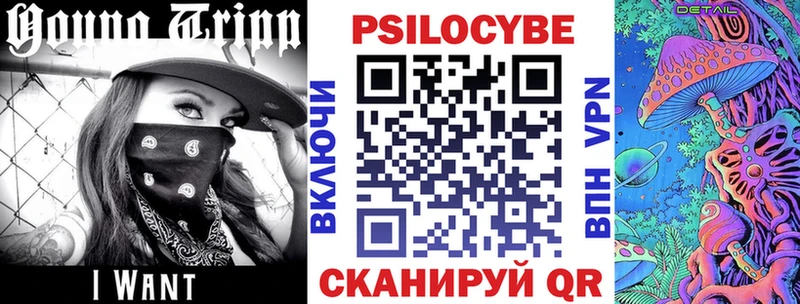 купить Курильск Псилоцибиновые грибы мицелий